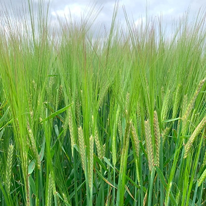 Rispettiamo i cicli della natura