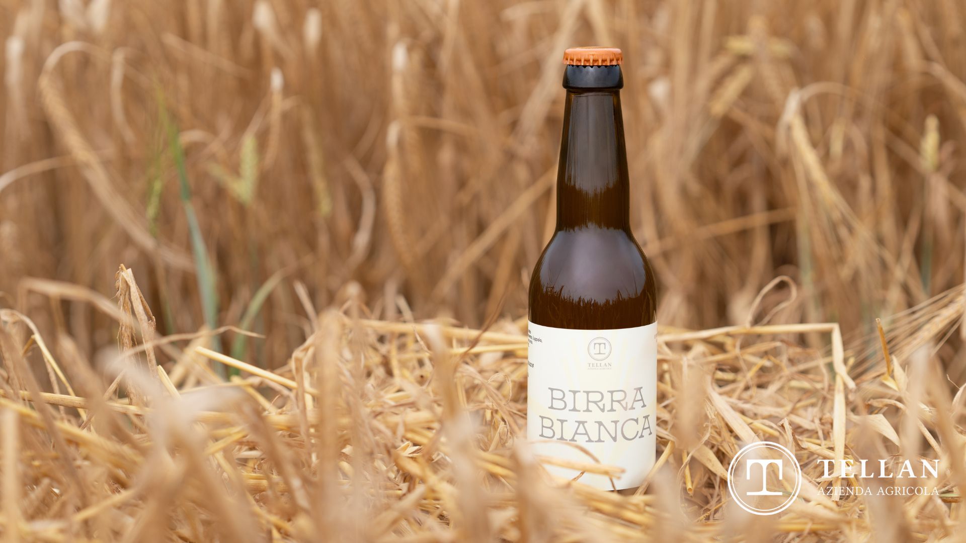 Birra Tellan su fieno