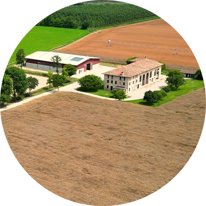 Azienda Agricola Friulana da oltre 40 anni