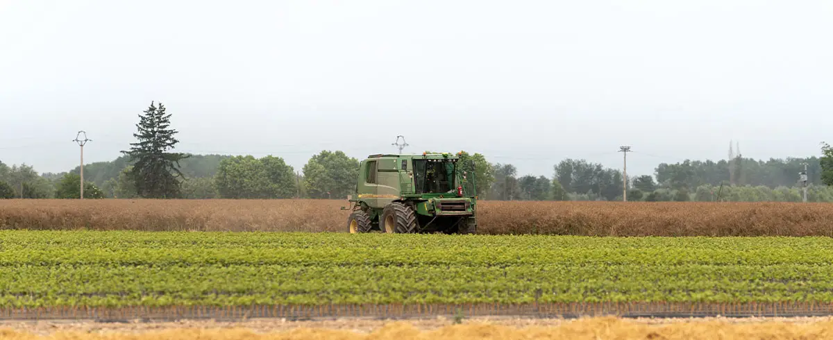 Azienda Agricola Tellan: il luogo dove la tradizione familiare incontra l’innovazione