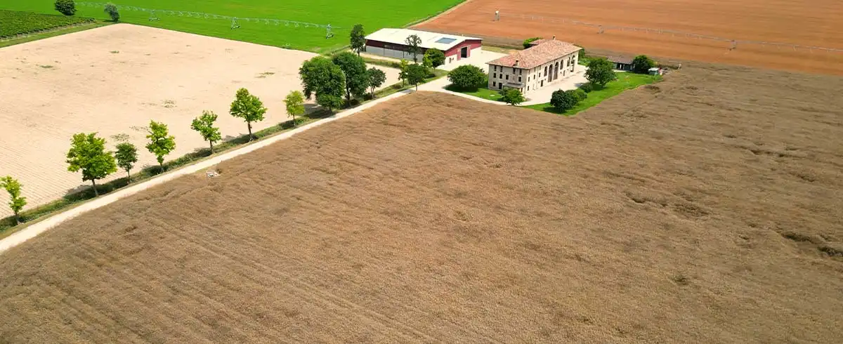 Dove puoi trovare i prodotti locali dell’azienda agricola Tellan